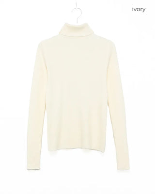 Basic turtleneck knit