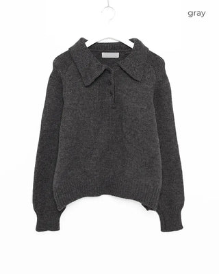 Button-collar long-sleeved knit