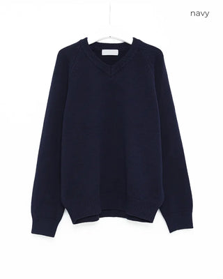 Simple V-neck knit