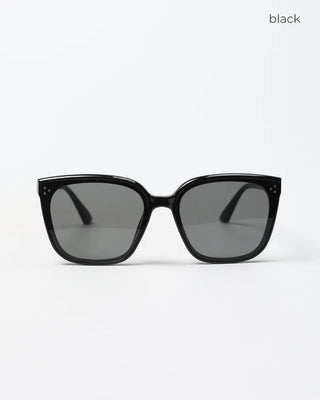 Wellington frame sunglasses