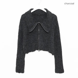 Color 2-Way Knit Hoodie