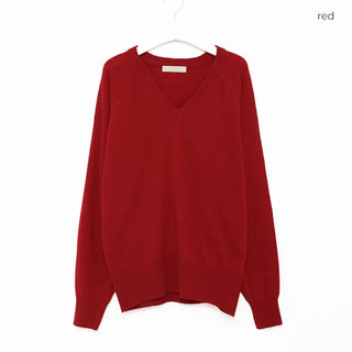 Basil Wool V-Neck Knit