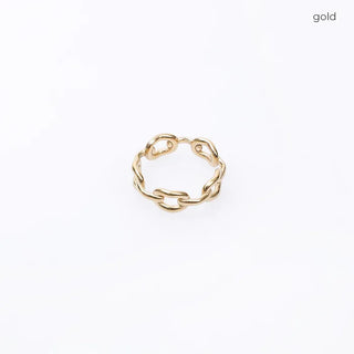 chainring