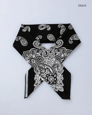 Paisley Big Scarf