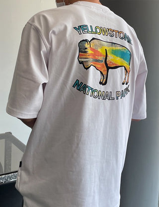 YELLOW STONE OVER TEE(high Q)