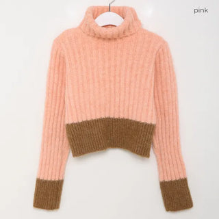 Ribbed two-tone turtleneck knit