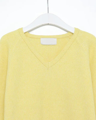 V-neck raglan pastel knit