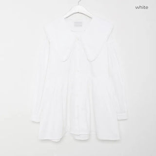 Seller Long Sleeve Mini Dress