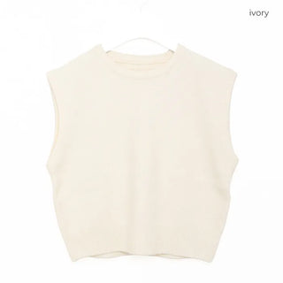 Basic Round Neck Knit Vest