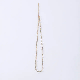 Coin Charm Layered Necklace