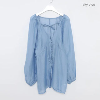 Deep V-neck sheer blouse