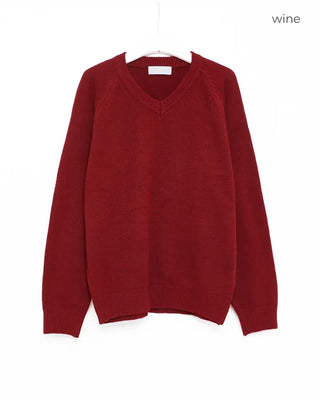 Simple V-neck knit