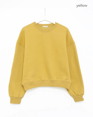 Fleece-lined colored sweatshirt