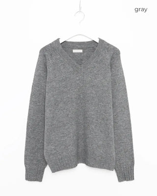 Regular Fit V-Neck Knit