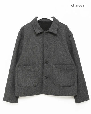 Minimalist wool collar jacket