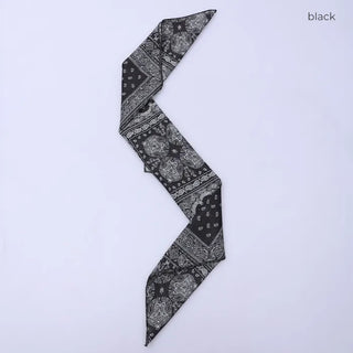 Paisley scarf