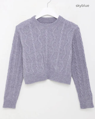 Basic Cropped Knit