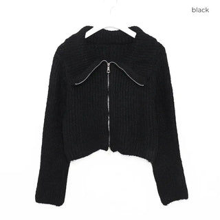 Color 2-Way Knit Hoodie