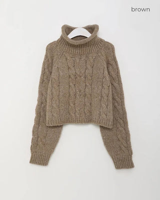 Cable Cropped Turtleneck Knit