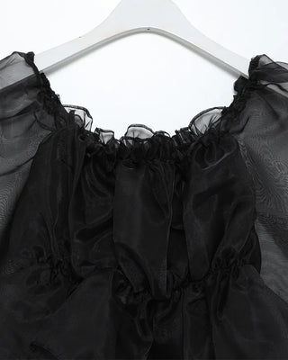 Organza chiffon shirred blouse