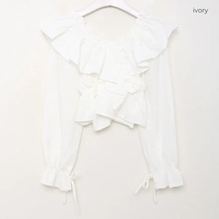 Ruffled Cropped Blouse