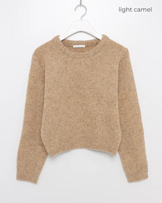 Round neck crop knit