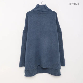 Turtleneck long knit