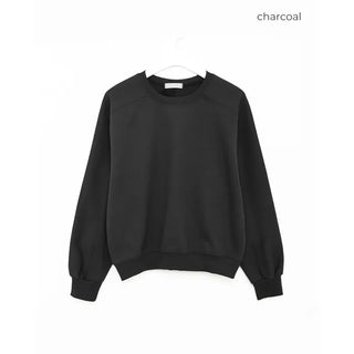 Round neck sleeve piping sweatshirt