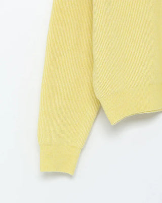 V-neck raglan pastel knit