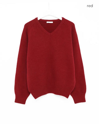 V-neck raglan shoulder knit sweater