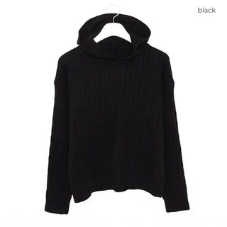 Cable Hoodie Knit