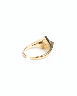 Star motif ring