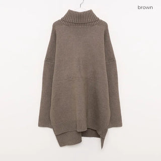 Turtleneck long knit