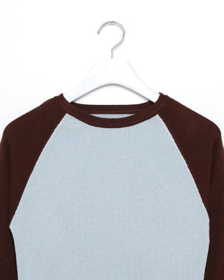 Raglan sleeve color-point knit