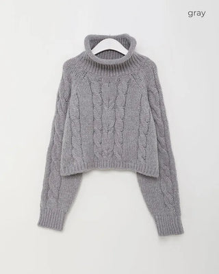 Cable Cropped Turtleneck Knit