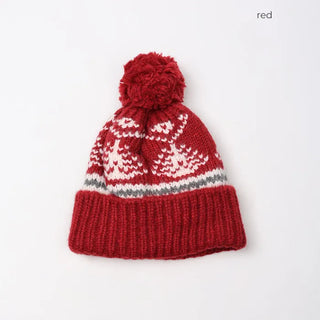 Pom-pom tree knit hat