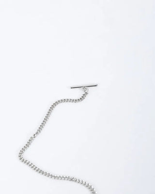 daily silver chain necklace