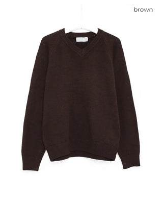 Simple V-neck knit