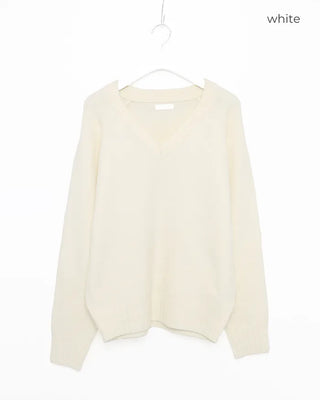 Regular Fit V-Neck Knit