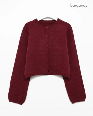 Round neck cropped spring cardigan