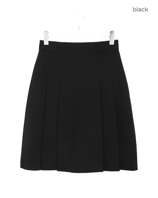 Half-pleated skirt