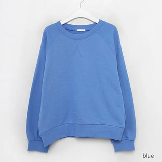 Stitched raglan sweatshirt