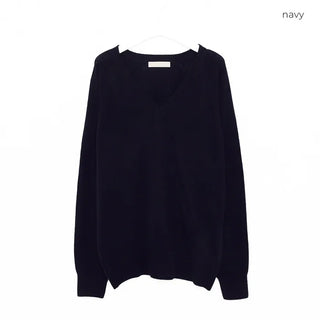 Basil Wool V-Neck Knit