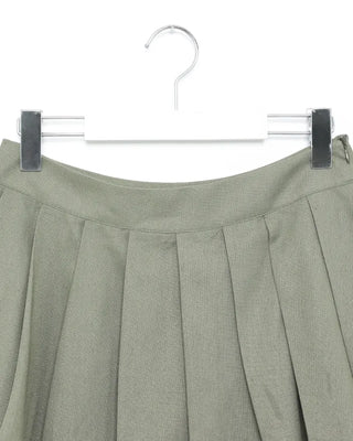 Pleated skirt wide slacks