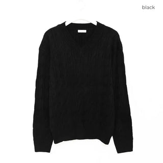 (Unisex) Cable Simple V-Neck Knit