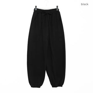 Fleece-lined jogger pants