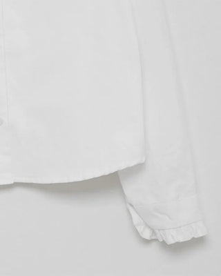 Big collar frill blouse