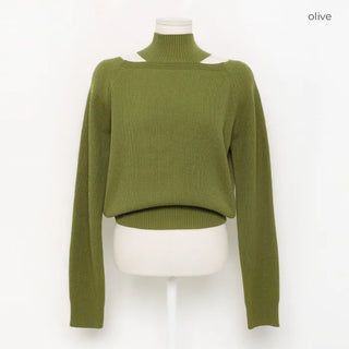 Slit Point Half Neck Knit