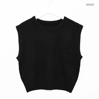 Basic Round Neck Knit Vest
