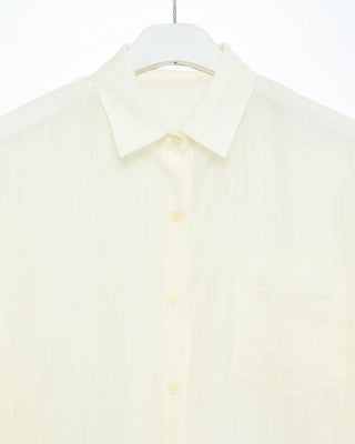 Pinstripe Loose Sheer Shirt